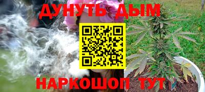 мдма Новодвинск