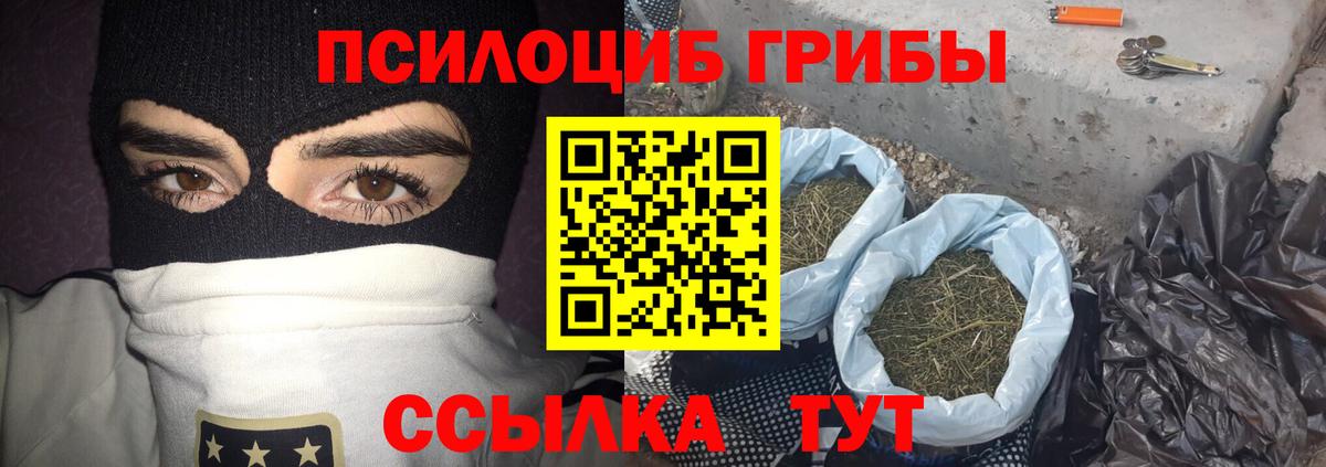 Саянск  Галлюциногенные грибы мицелий  Вход с VPN 