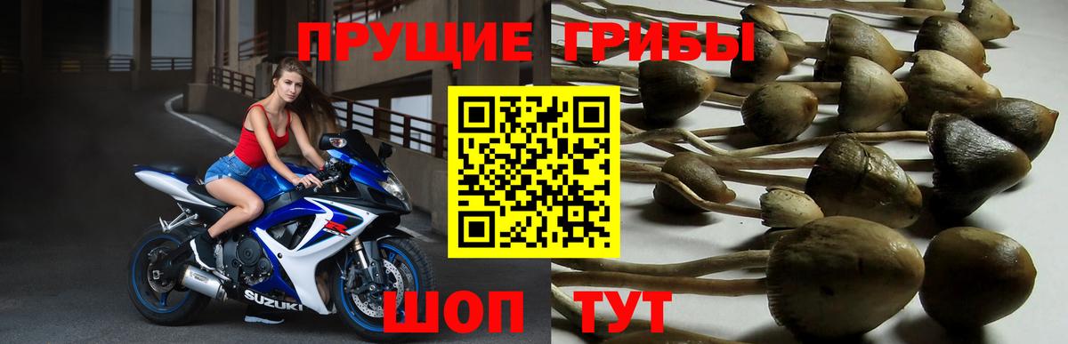 Псилоцибиновые грибы мухоморы Саянск